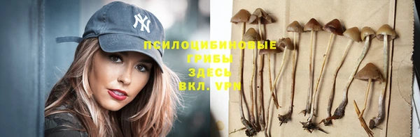 бошки Алексин