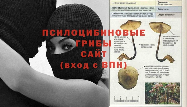 мескалин Алексеевка