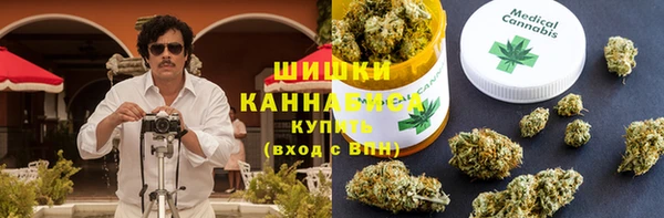 бошки Алексин