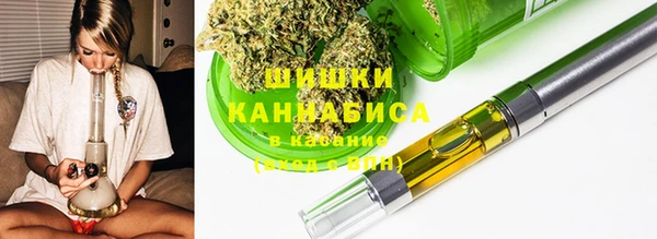 бошки Алексин