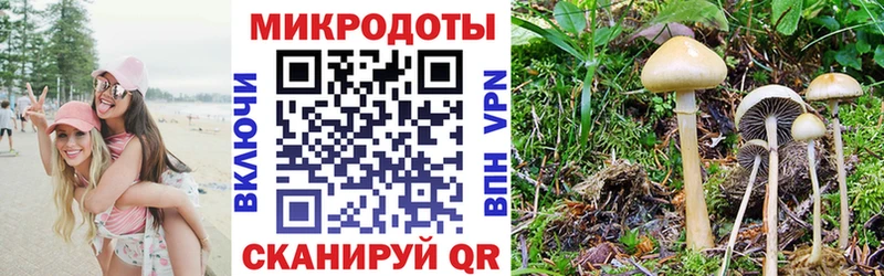 Псилоцибиновые грибы MAGIC MUSHROOMS Беслан